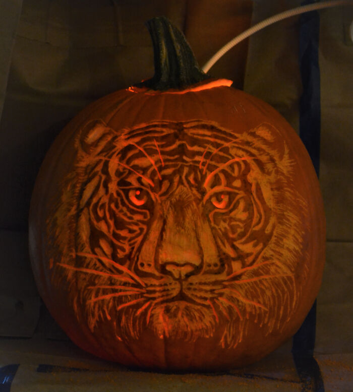 My First Pumpkin Carving. A Tiger Jack O'Lantern