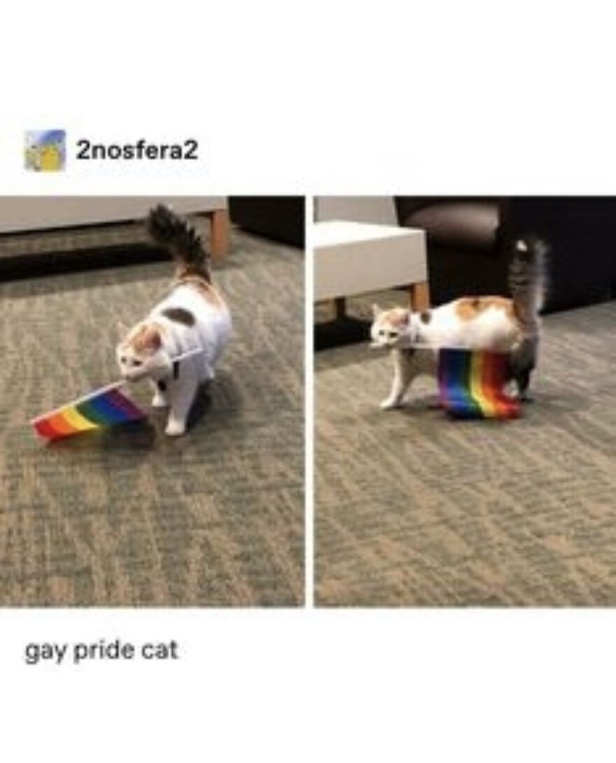 32 Of My Favorite Gay Comics, Tweets, And Pictures.