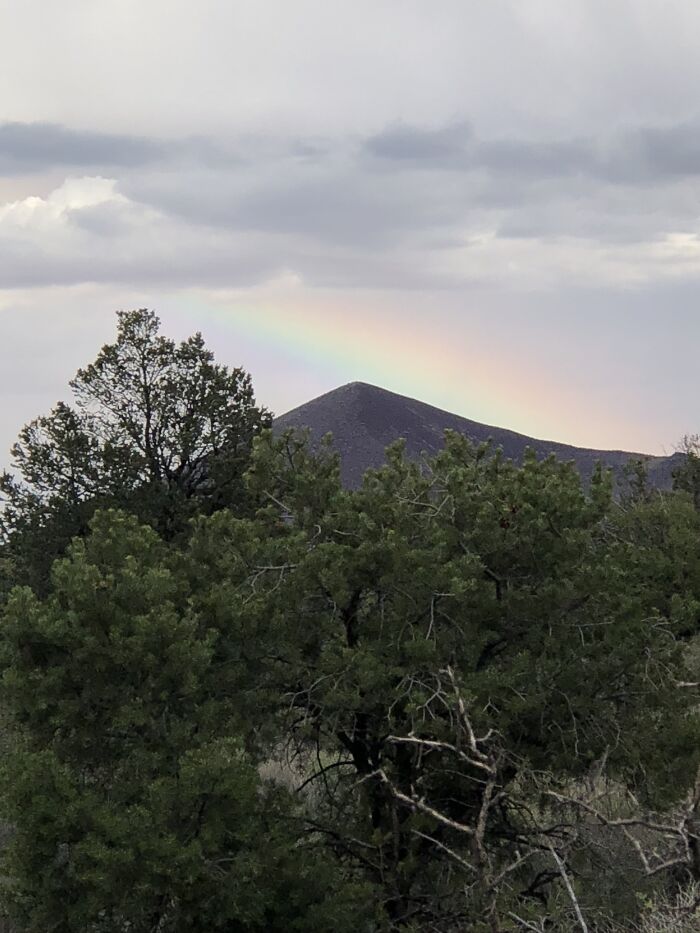 Forget Where But Definitely A Park In Arizona