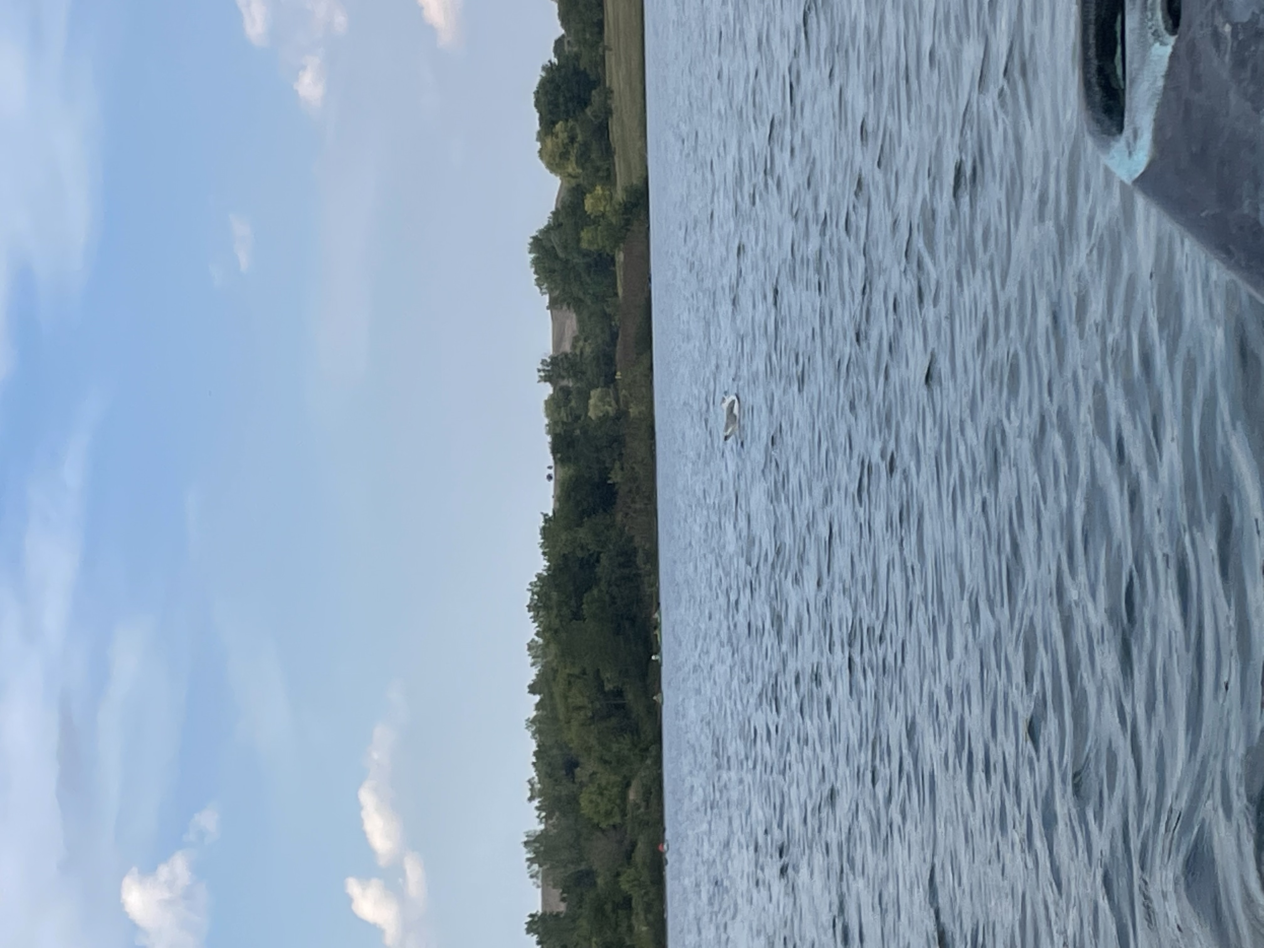 32 Of My Favorite Gay Comics, Tweets, And Pictures.