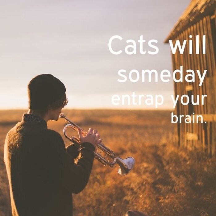 Artificial Inspiration