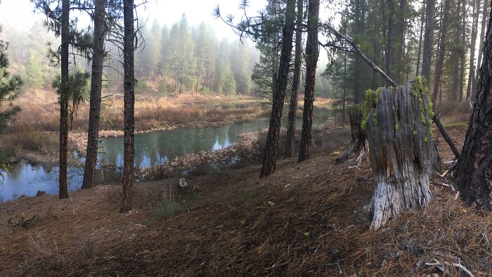 I’ve Got A Lot Of Photos Like This This Is Only One