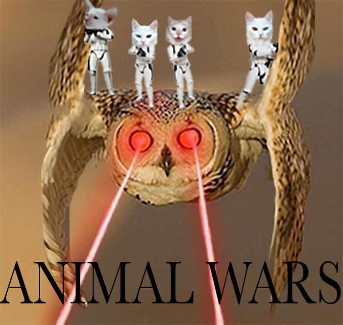 Animal Warzzz