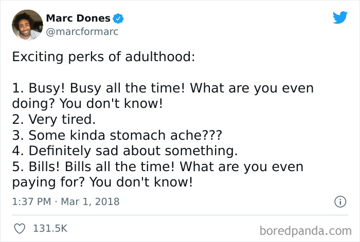 Exciting perks of adulthood meme