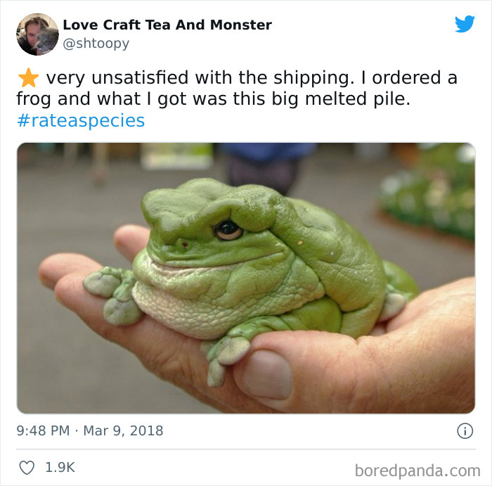 Melted Frog