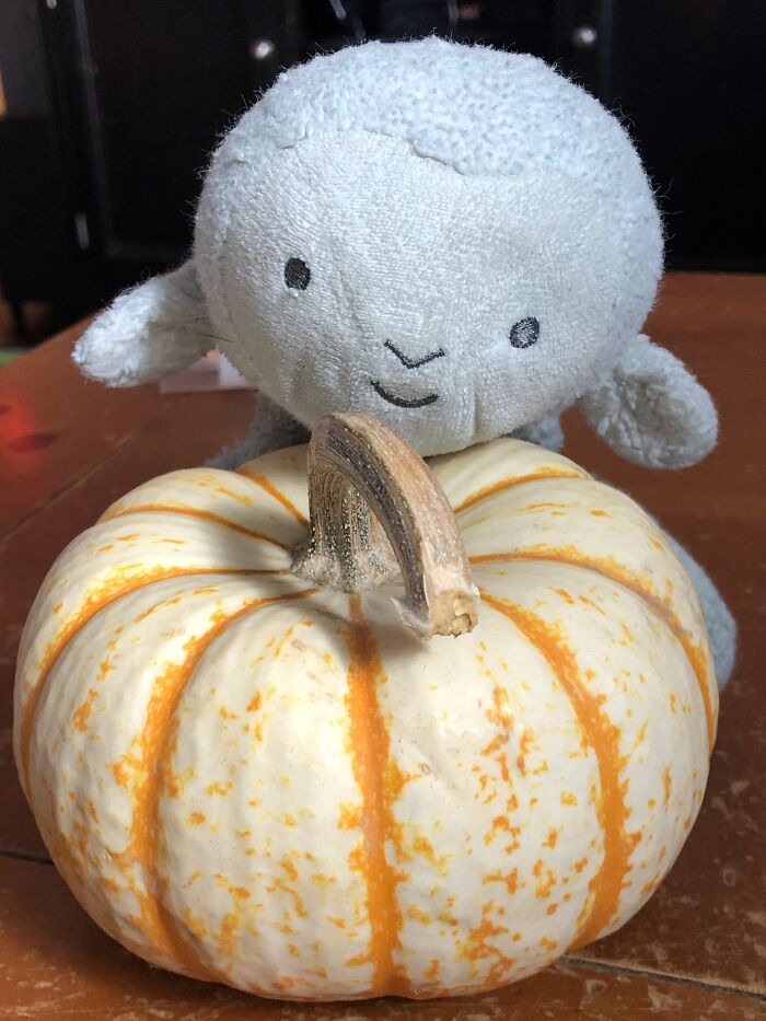 My Little Gave His Pumpkin To His Fave Stuffie