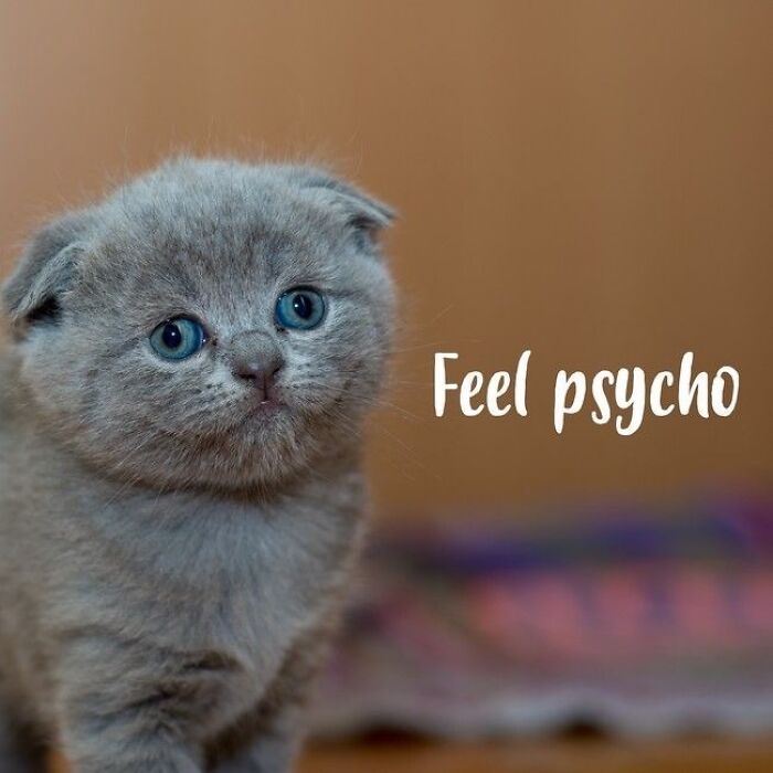 Artificial Inspiration