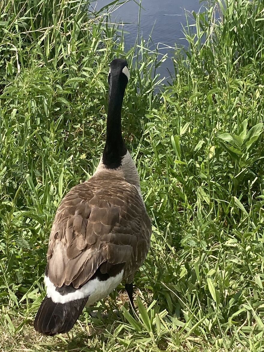 He Will Not Look At Me