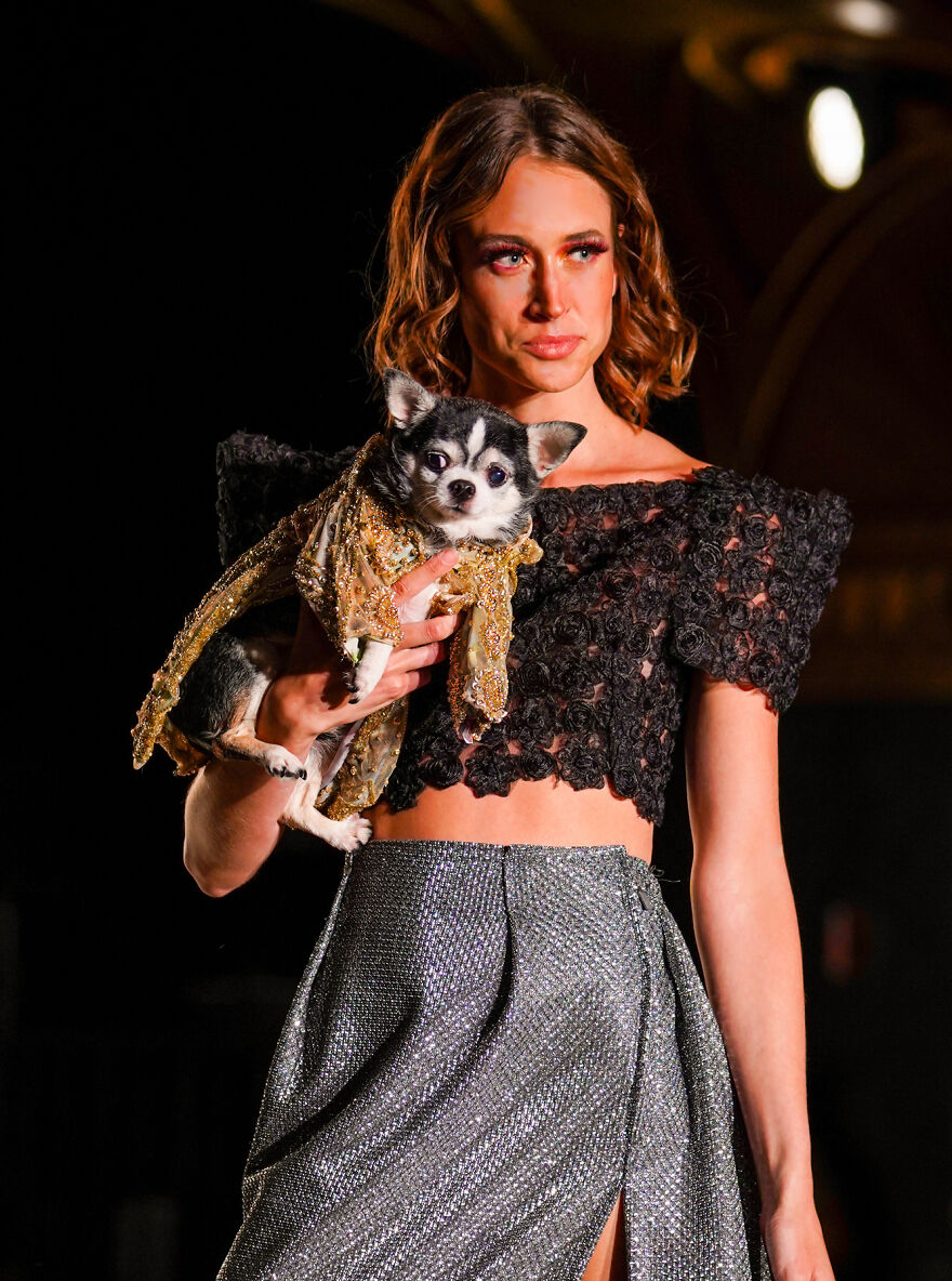 Canines In Haute Couture During New York Fashion Week Canines In Haute Couture During New York Fashion Week