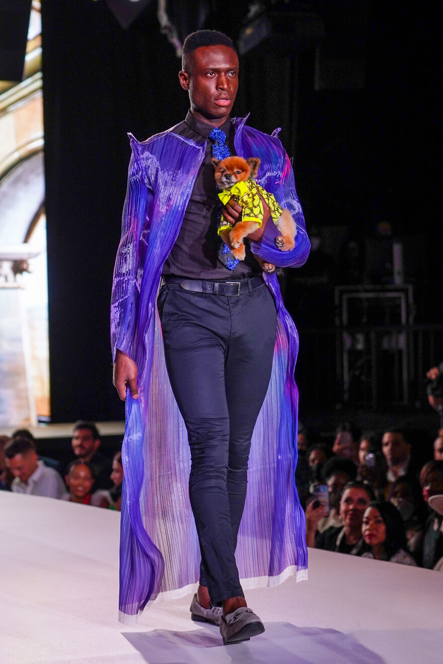 Canines In Haute Couture During New York Fashion Week Canines In Haute Couture During New York Fashion Week