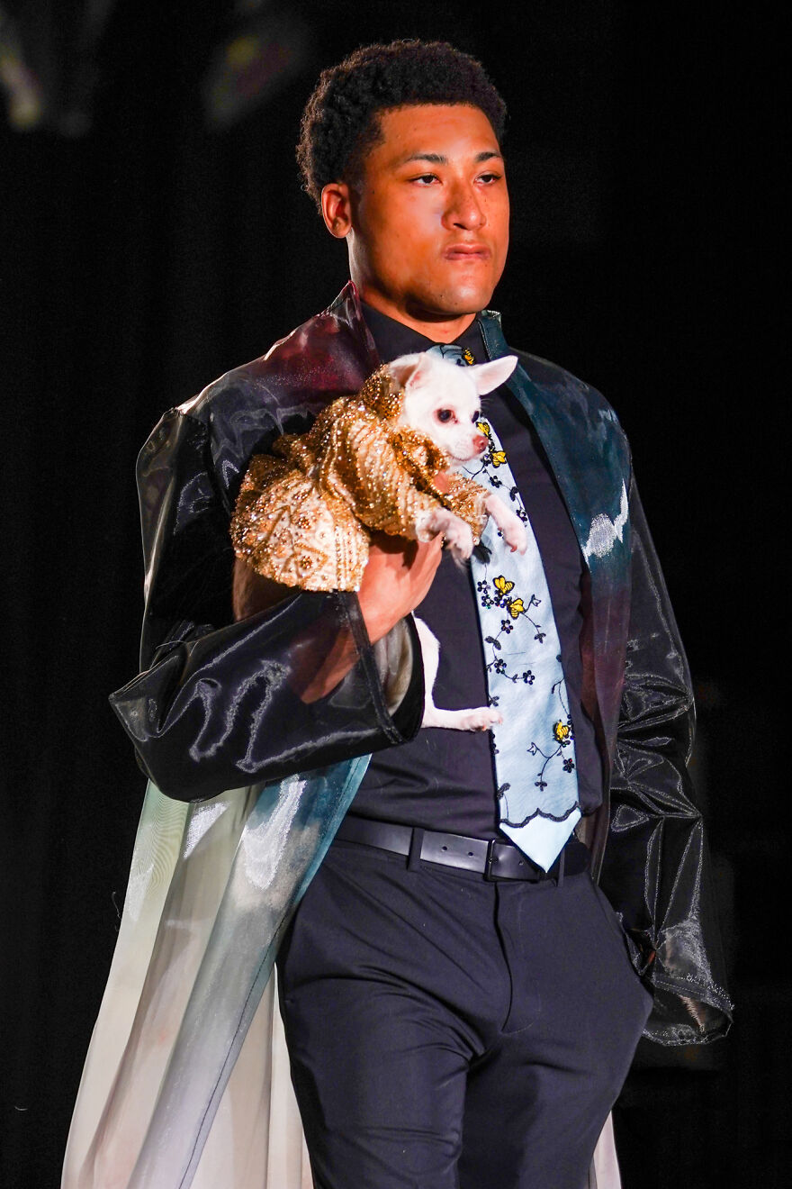 Canines In Haute Couture During New York Fashion Week Canines In Haute Couture During New York Fashion Week