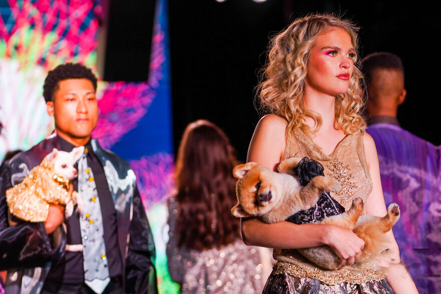 Canines In Haute Couture During New York Fashion Week Canines In Haute Couture During New York Fashion Week