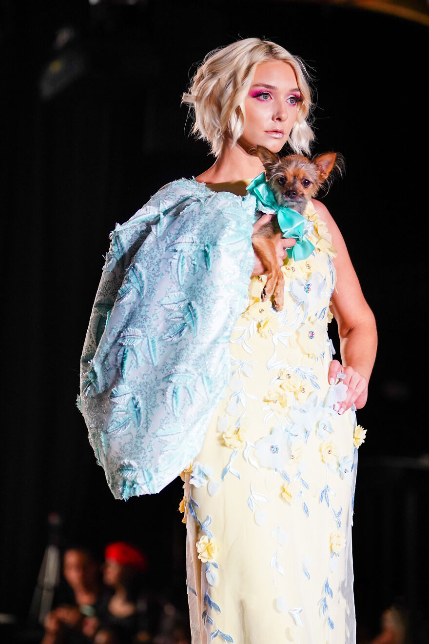 Canines In Haute Couture During New York Fashion Week Canines In Haute Couture During New York Fashion Week