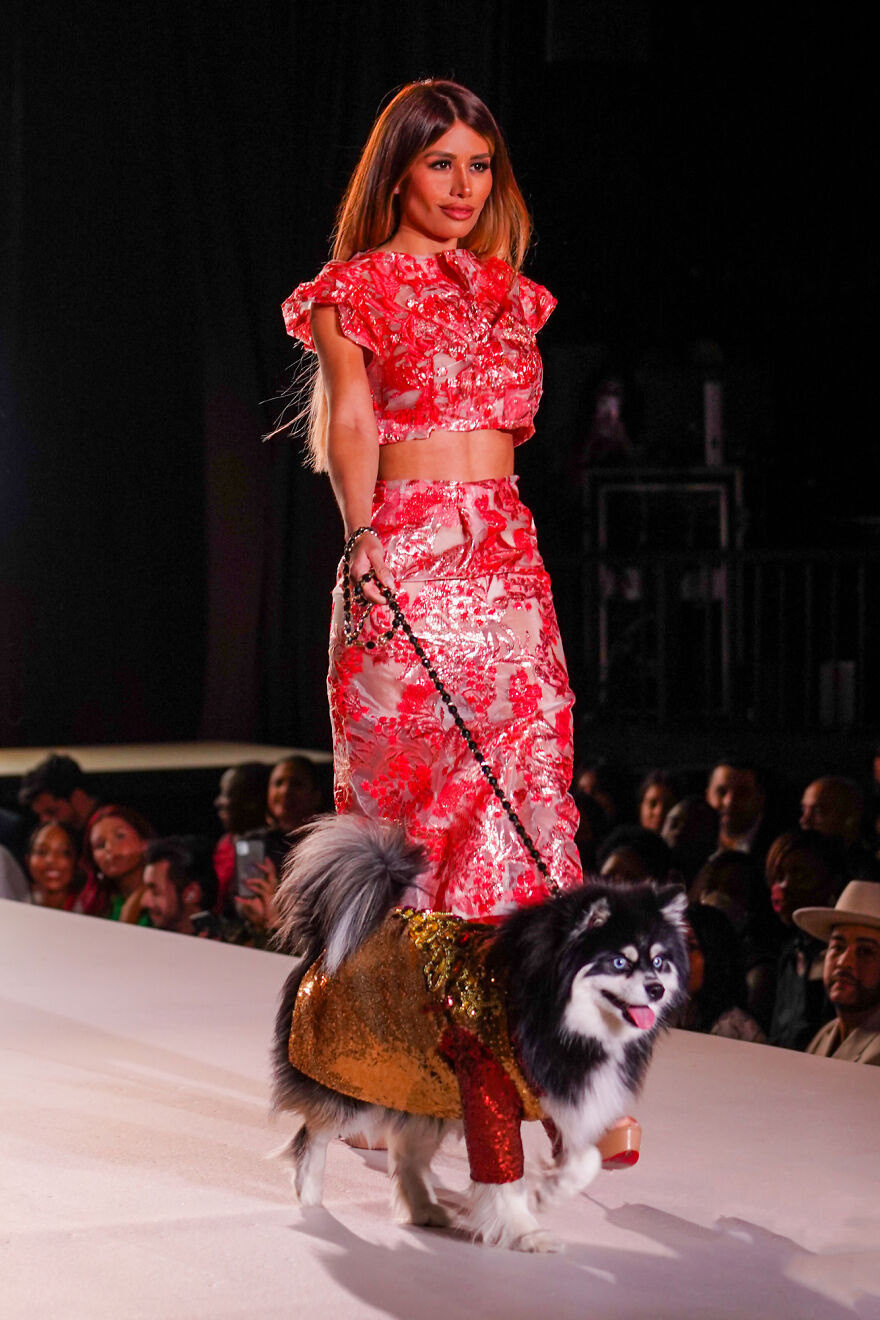Canines In Haute Couture During New York Fashion Week Canines In Haute Couture During New York Fashion Week