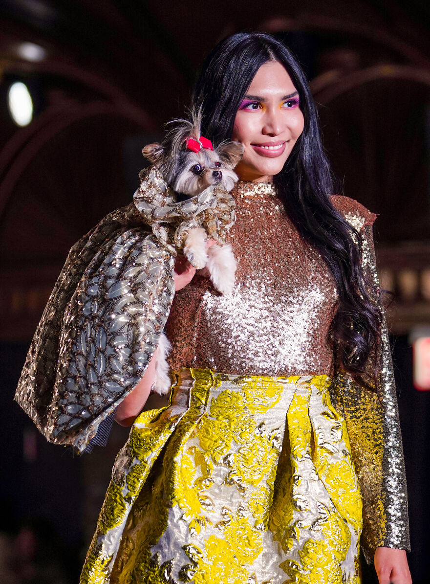 Canines In Haute Couture During New York Fashion Week Canines In Haute Couture During New York Fashion Week