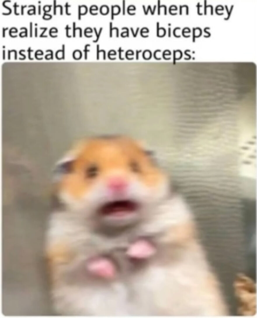 13 Lgbtq+ Memes To Restore Your Soul