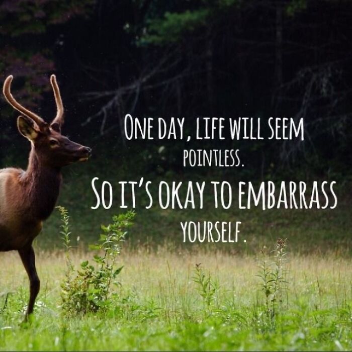 Artificial Inspiration