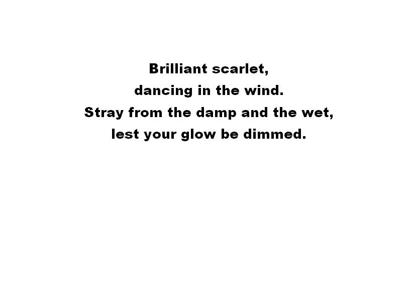 I Made Some Brain Teasers And Riddles For Everyone To Try And Solve