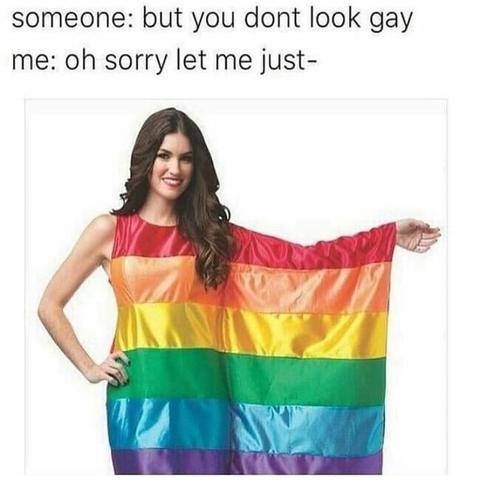 Best_LGBT_Meme_1_large-614cfcead9f19.jpg