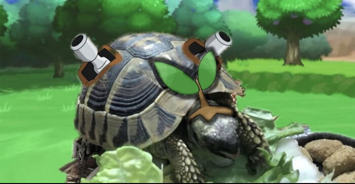 Poke-Turtle