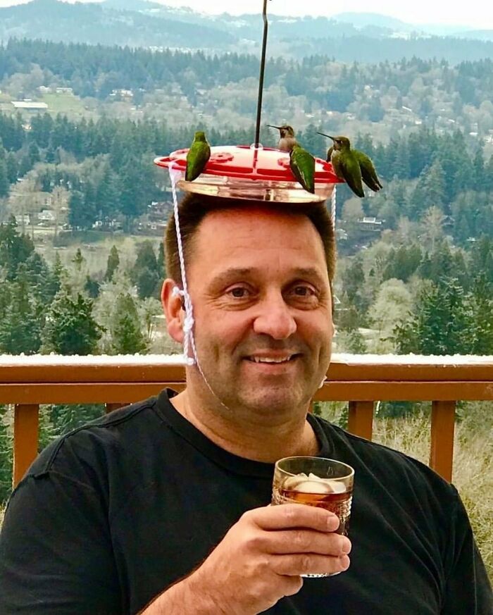 Nonsense-Animal-Pics