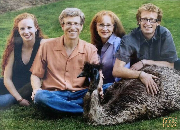 I Wasn’t Allowed To Have A Dog Because My Sister Is Allergic With Asthma. So I Raised An Emu That Stayed In Our Suburban Backyard Of Denver Co