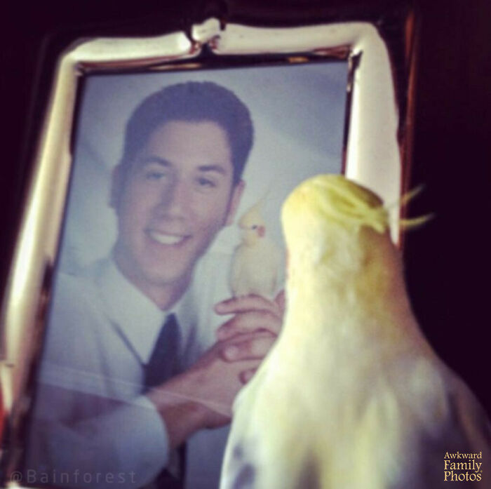 I Took My 2002 Senior Year Photo With My Bird, Jeff. It Made The Yearbook. Ten Years Later, I Caught Him Reflecting On Our Long History. Sentimentality In Its Truest Form