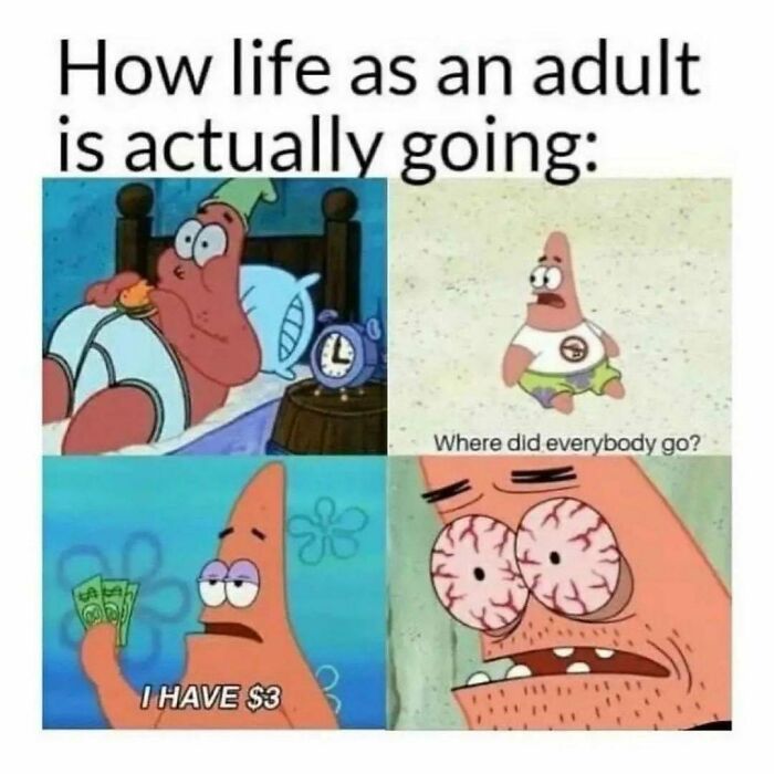 Funny-Adulting-Memes