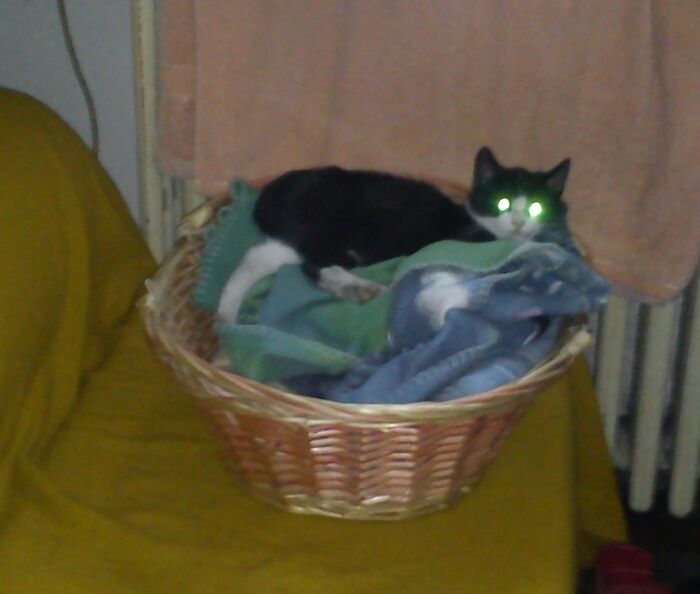 Marcel: Wut? Not Gain With Those Lights