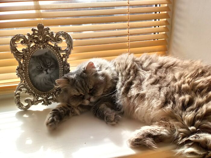 Keeping An Eye On Me Whilst Guarding Her Favourite Picture Of Herself