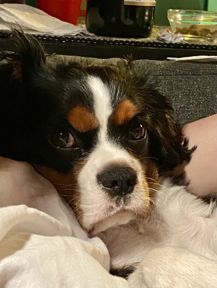 Was It Something I Said?