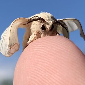 laurablackburn902 avatar