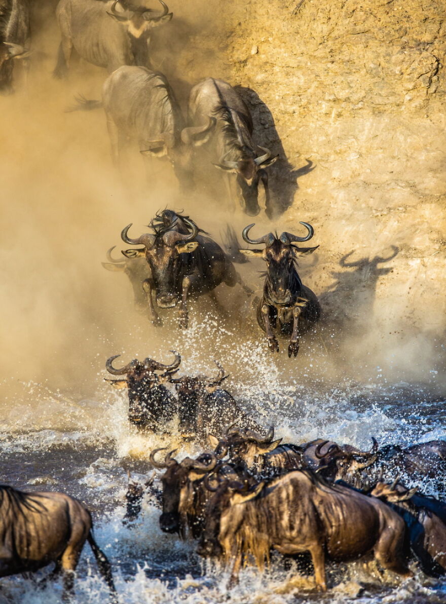 What Makes A Photographer: 8 Visual Artists On Their Path To Becoming A Photographer What Makes A Photographer: 8 Visual Artists On Their Path To Becoming A Photographer