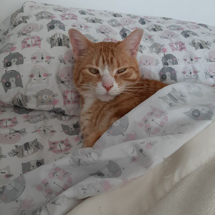 I Told Him I Had To Make The Bed...