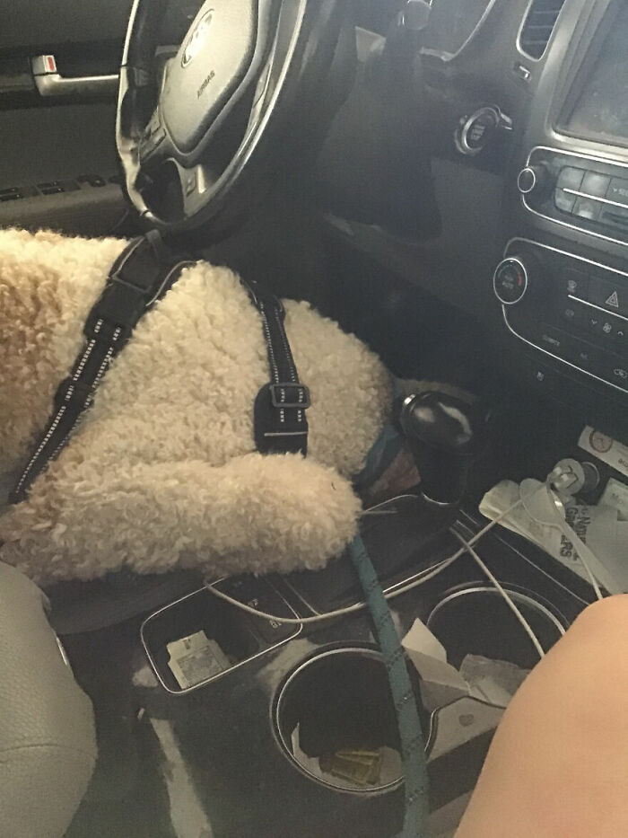 He Can’t Seem To Reach The Pedals