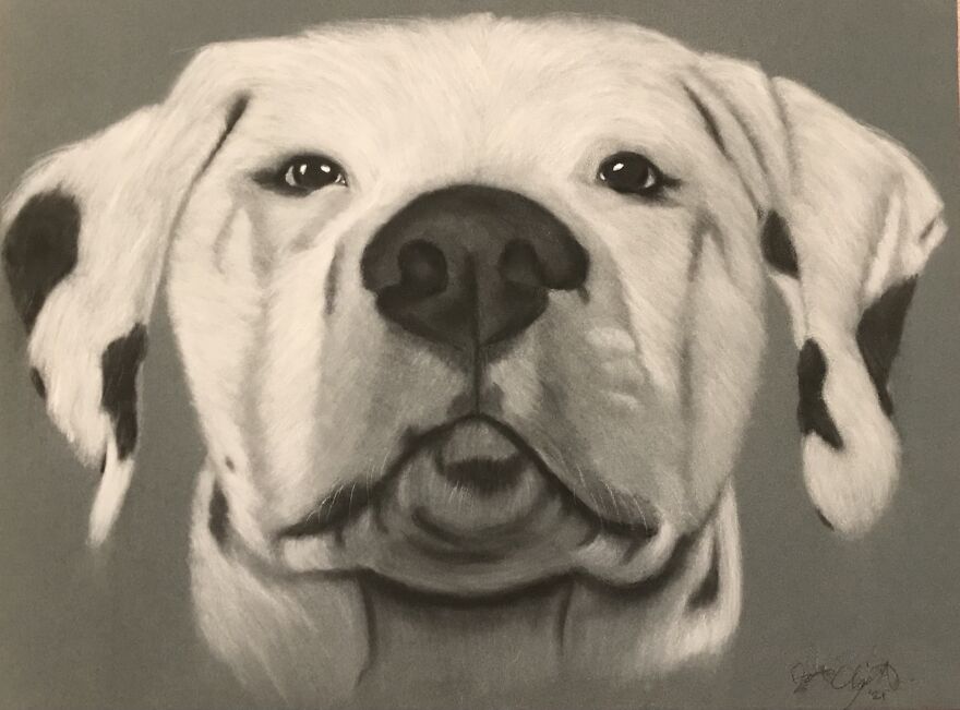 I Discovered My Hidden Talent (13 Pics) I Discovered My Hidden Talent (13 Pics)