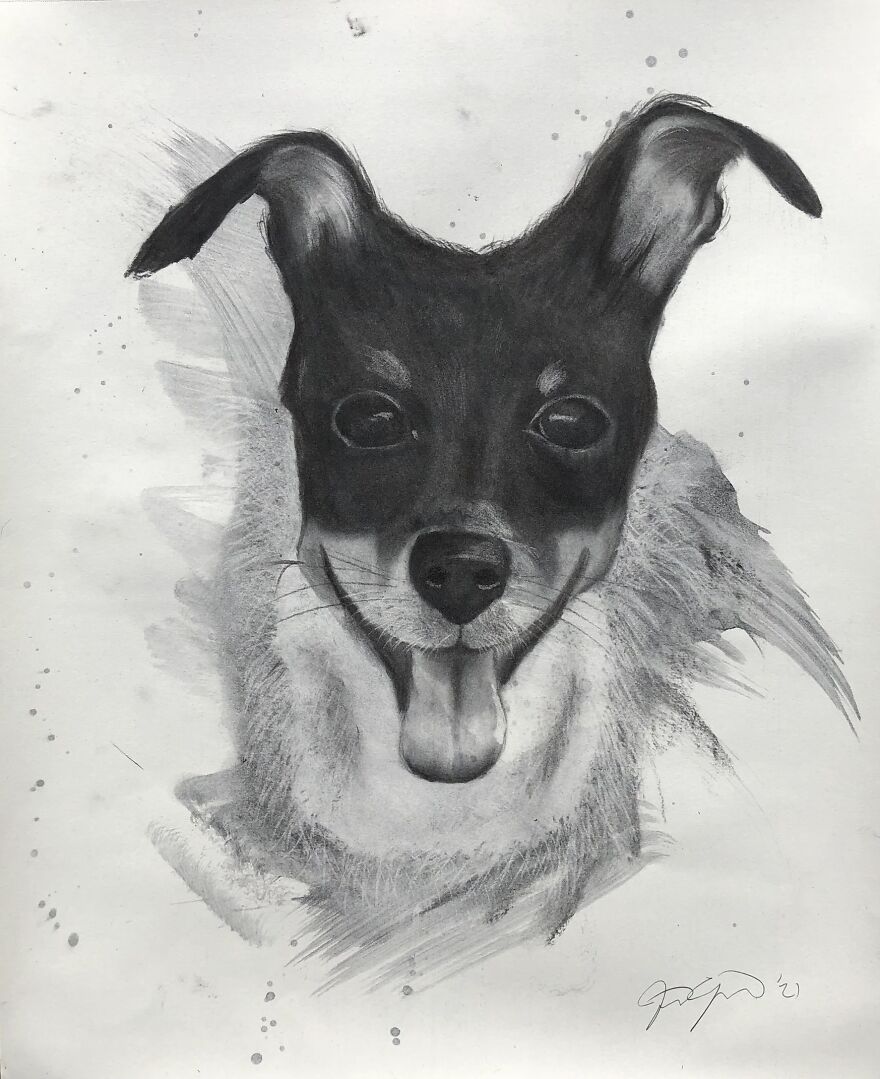 I Discovered My Hidden Talent (13 Pics) I Discovered My Hidden Talent (13 Pics)