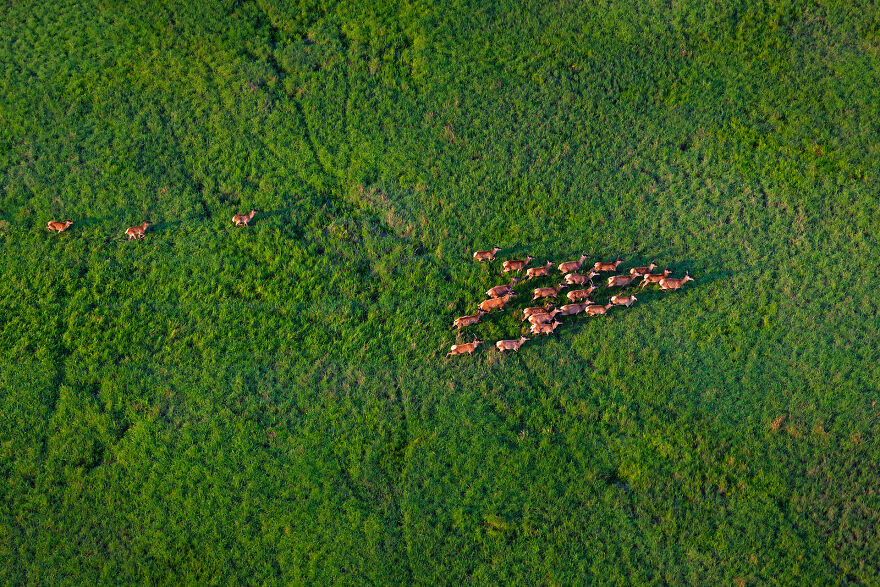 I Explore Beautiful Croatia