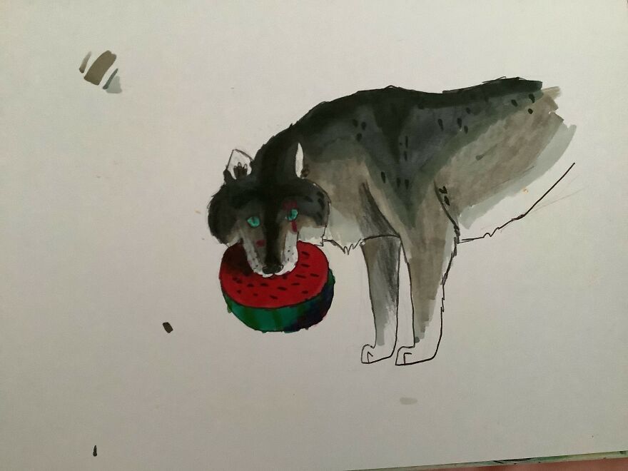 I Love To Draw Animals - Here Are My Favourites