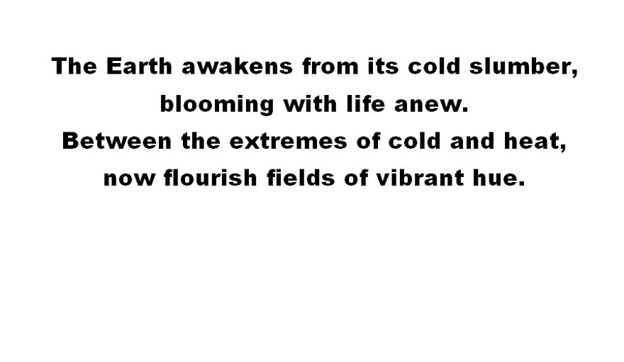 I Made Some Brain Teasers And Riddles For Everyone To Try And Solve