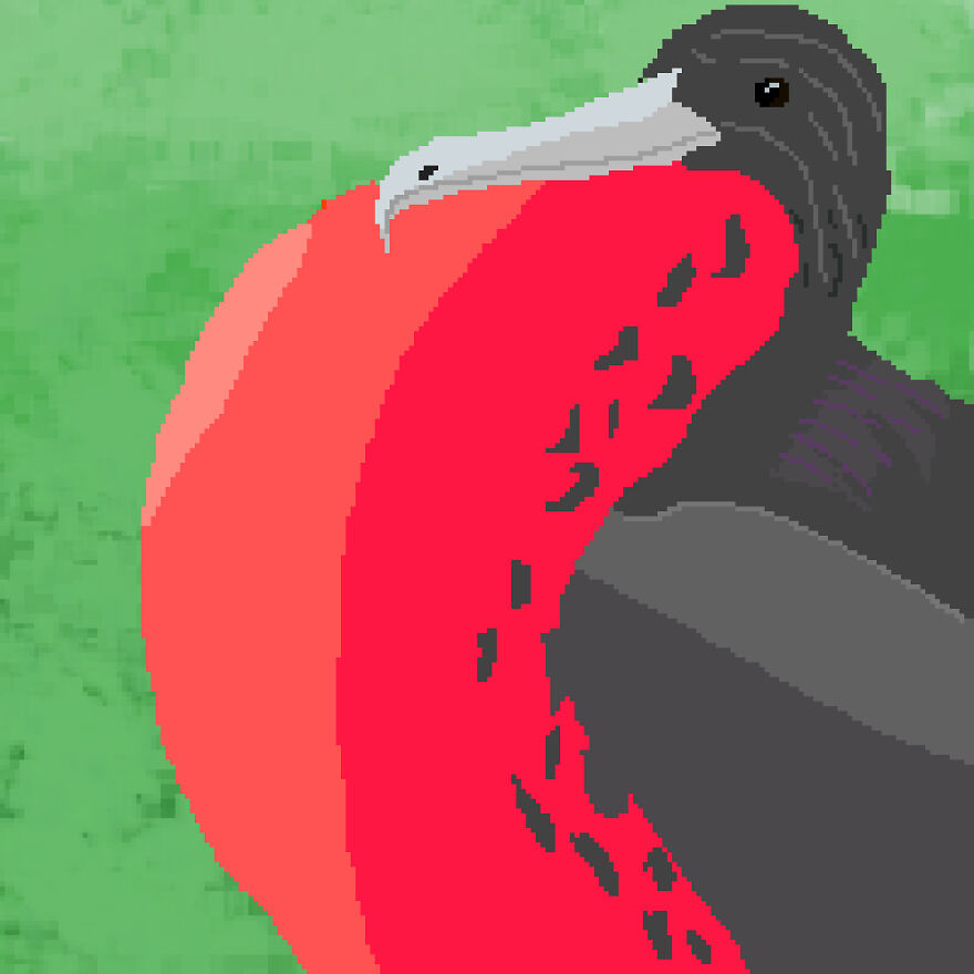 I Make Pixel Art Birds For Fun, Here Are Some Of My Favorites.