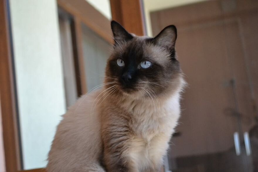 My Boy (18 Years Old)