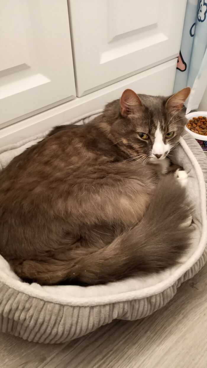 Leave Me Alone. I'm Serious.