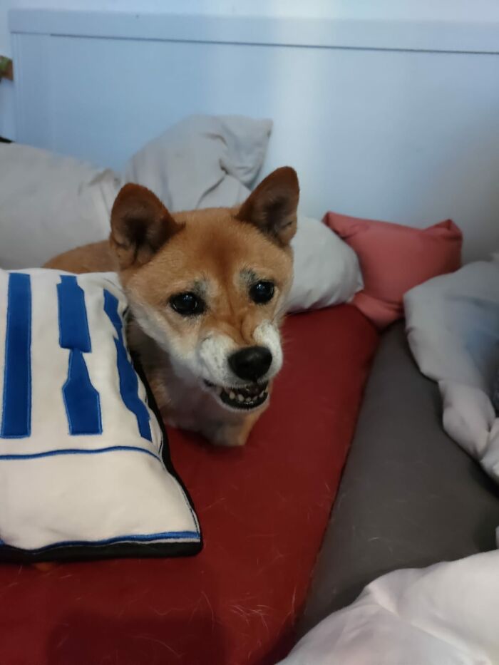 One Tap Away From Get Killed