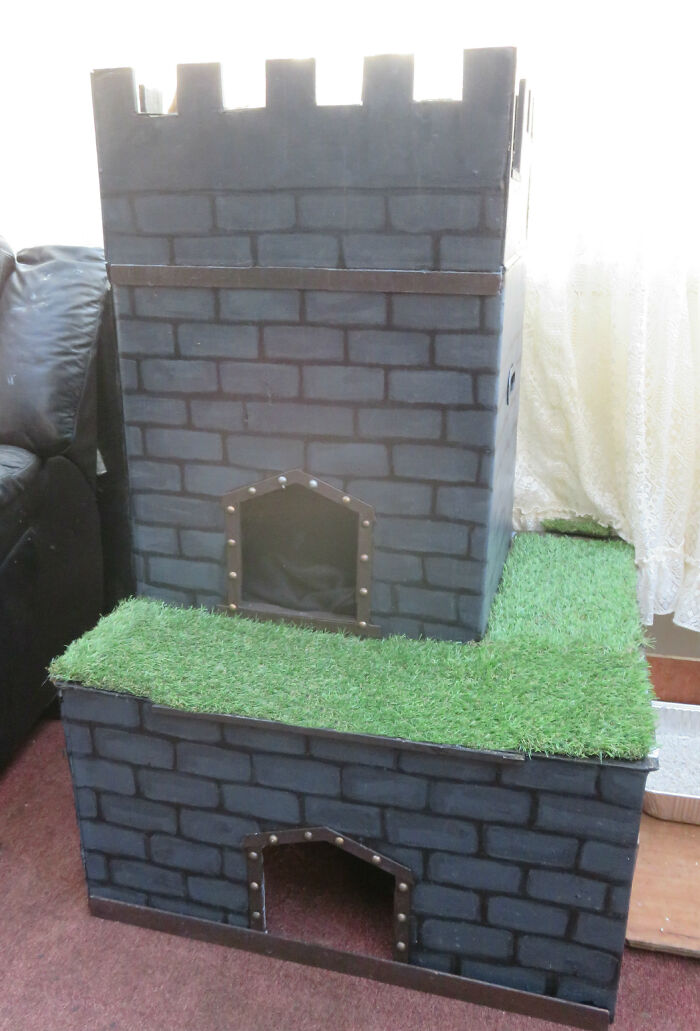 I Made A Castle For My Cats. 2 Boxes And Scrap Bits And Pieces. They Can Climb Through The Bottom Box Into The One Above Through A Hole And There Is A Top Floor Which Also Has Fake Grass For When They Want To Enjoy The Sun In The Conservatory