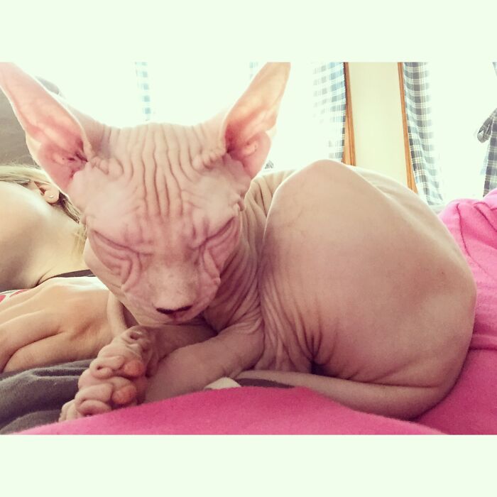 Why Is It So Bright In Here??