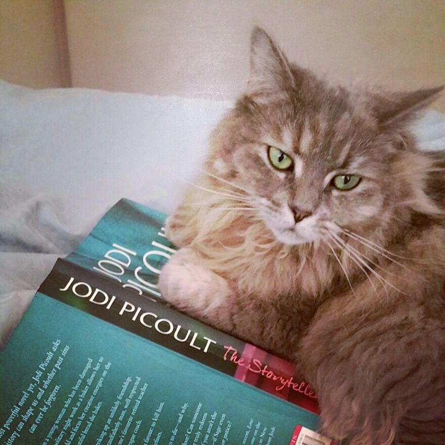 My Girl Helping Me Read.