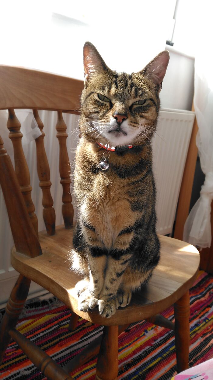 Frosk Using Mind Control For Me To Love Her Only!