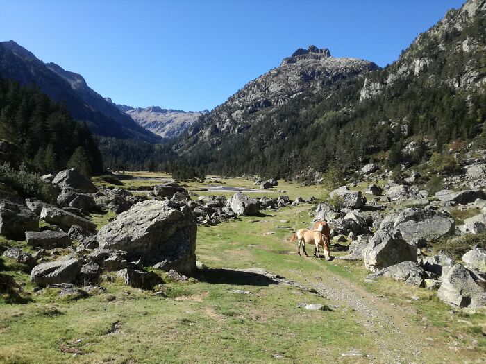 Marcadau Valley In The French Pyrenées