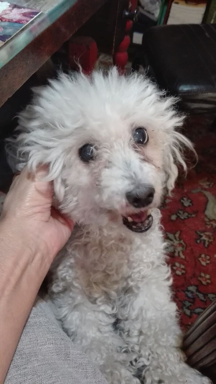 My Cousin Irene's Dear Chiara. She Is 13 And Quite Shy. And Loves To Go Walking With Felipe And Me